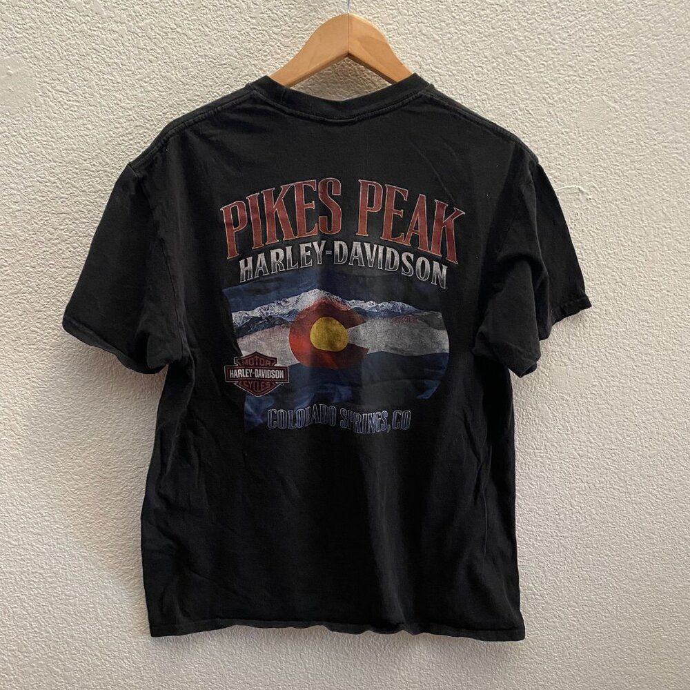 I Got Mine At Pikes Peak Harley-Davidson Motorcycles 2020 T-Shirt Black Large